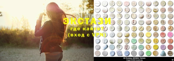 индика Новозыбков