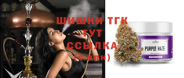 индика Новозыбков