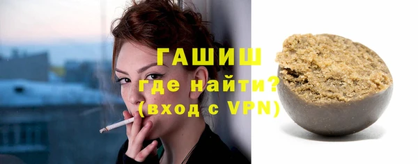индика Новозыбков