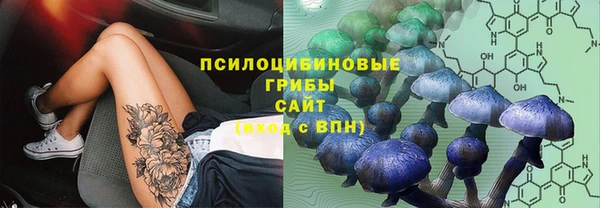 наркотики Новодвинск