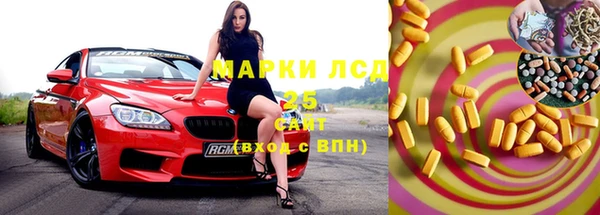 индика Новозыбков