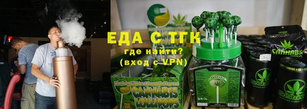 индика Новозыбков