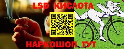 тгк Гай