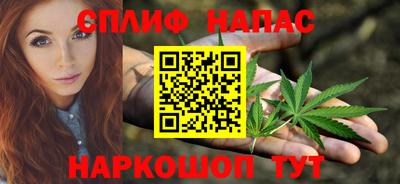 тгк Гай
