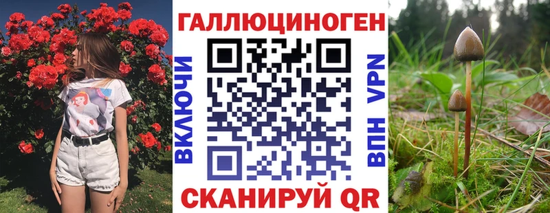Псилоцибиновые грибы мицелий  Луга 