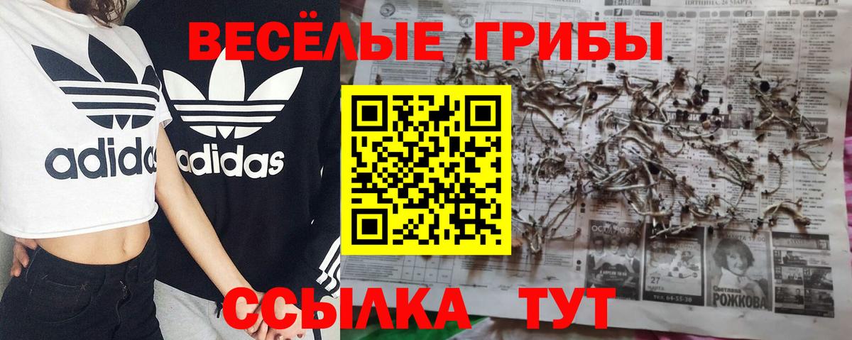 Луга  Галлюциногенные грибы GOLDEN TEACHER  Псилоцибиновые грибы MAGIC MUSHROOMS  Вход с VPN 