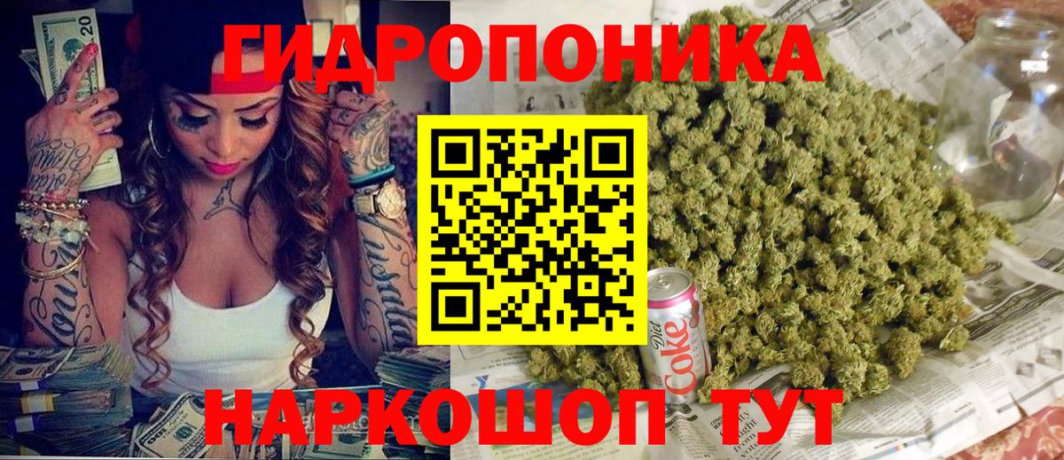 Канабис конопля Луга